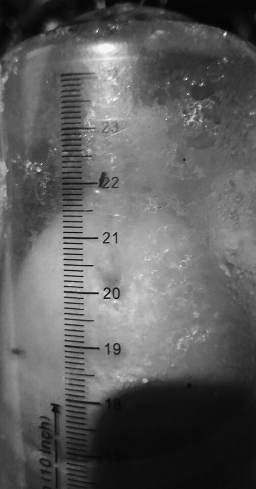 IMG_20220217_173213.jpg - Pepe91