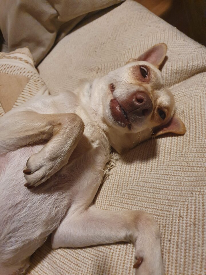 20200209_004549.jpg - Adminki