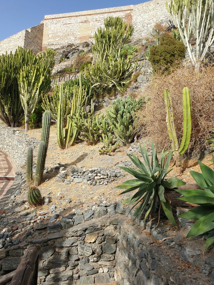 IMG-20200820-WA0098.jpg - Adminki