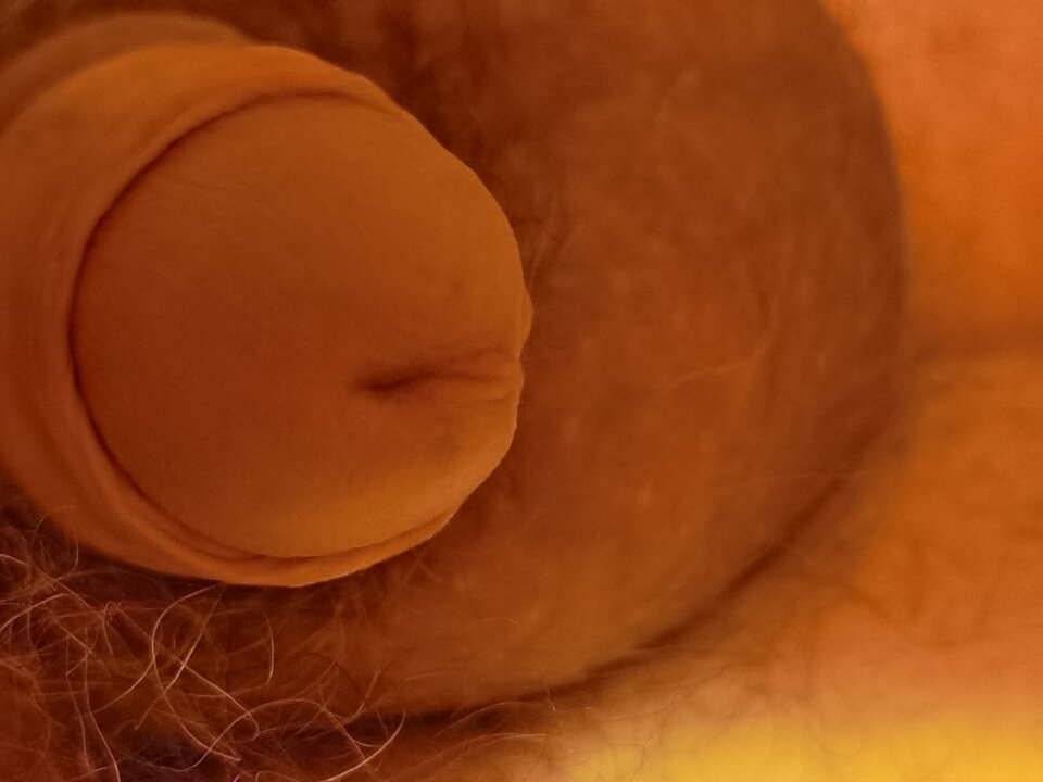 1645659149761.jpg - Mabakol