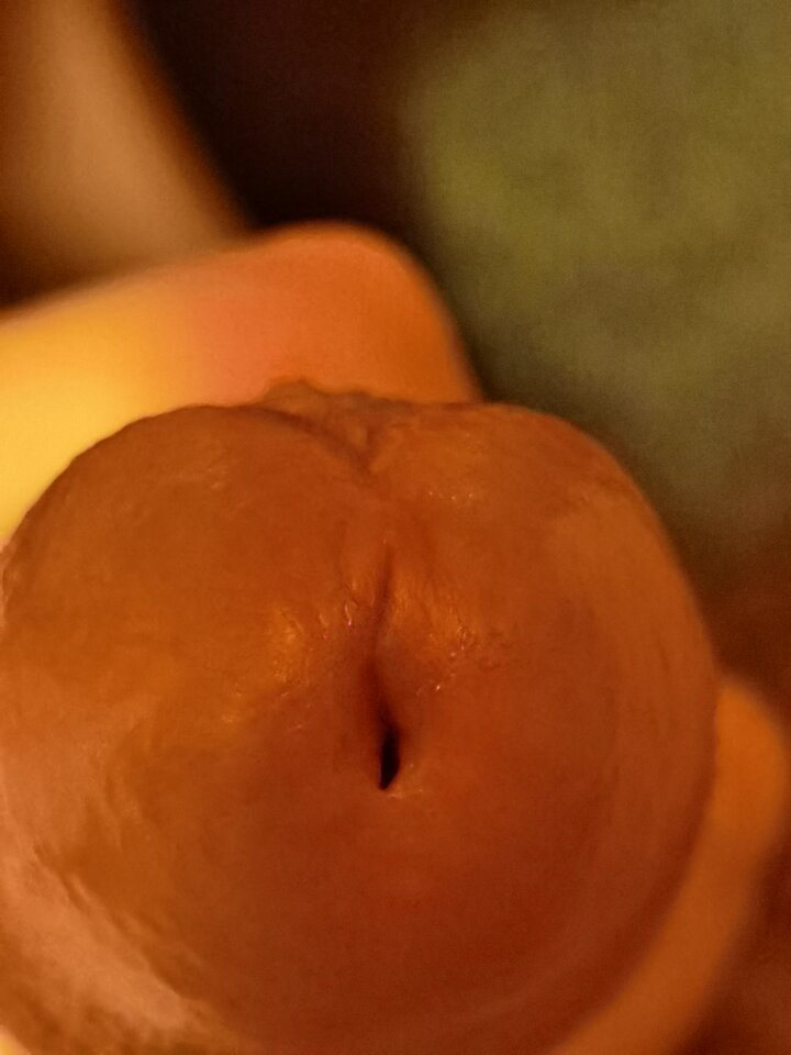 1645661853538.jpg - Mabakol