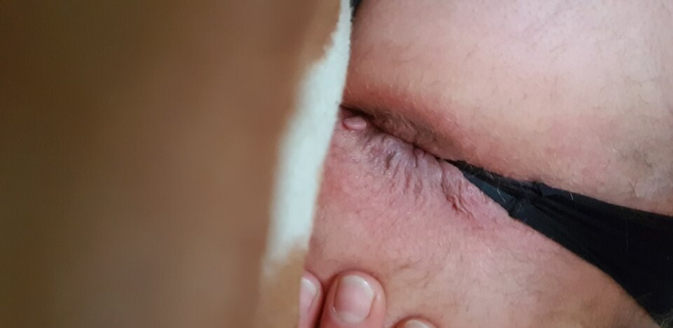 16456872132544654962572050296742.jpg - tomtrans1985