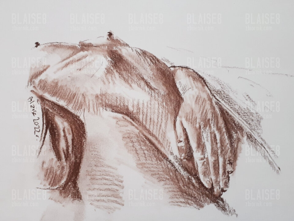 Art. No. 158 - blaise8