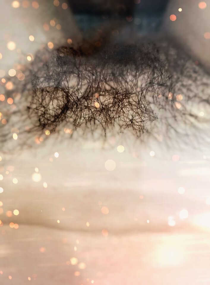 IMG_20220225_1050_475.jpg - MBSL