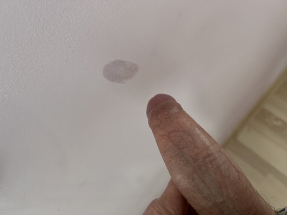 image.jpg - AdamSienkowski