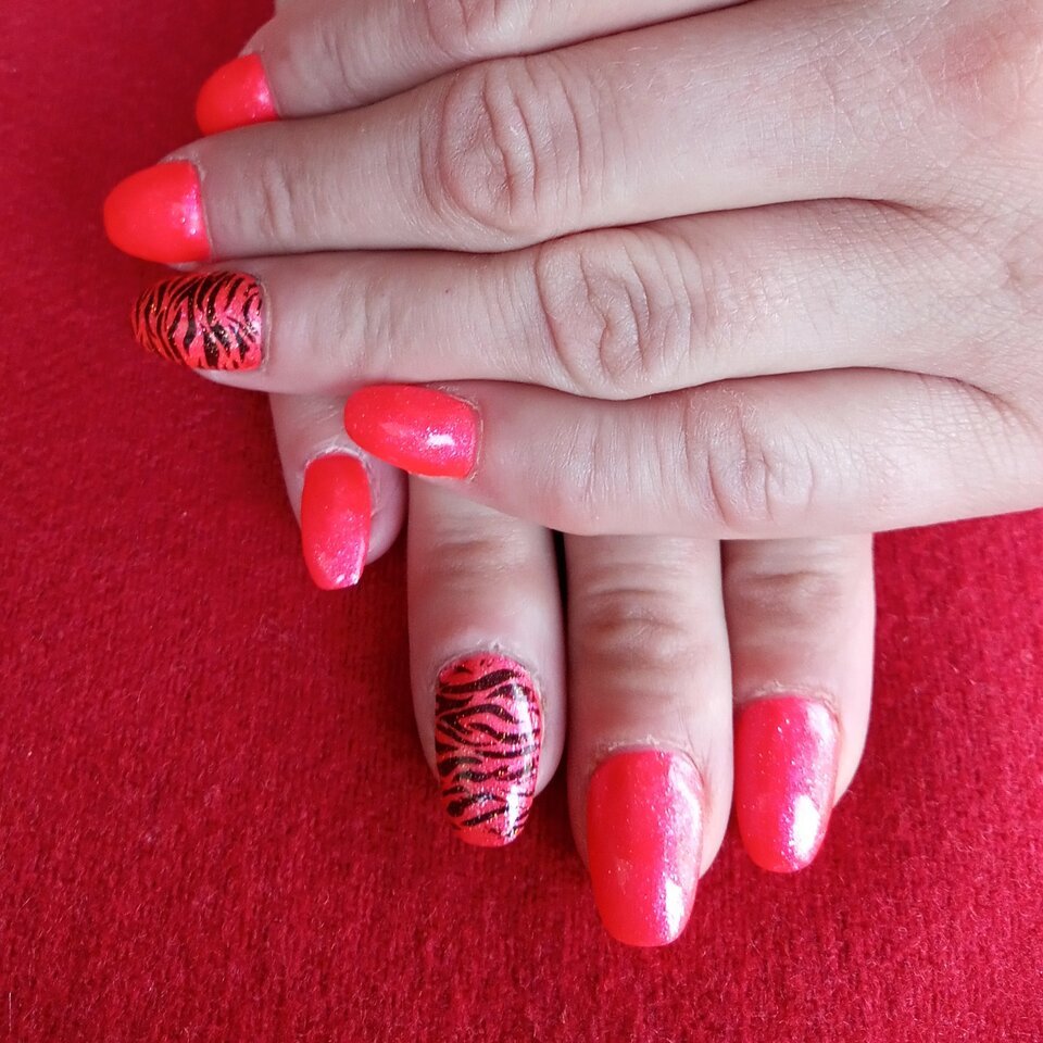 20210812_182422_Edited.jpg - SloncaPromien