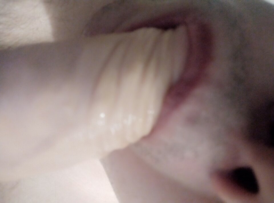 IMG_20220222_221517.jpg - 1983marcello