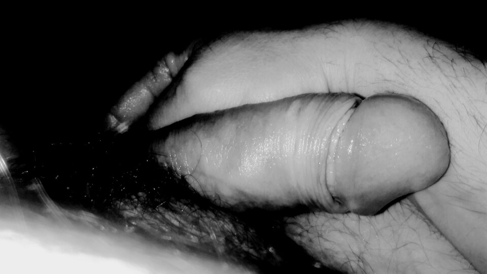 IMG_20220226_064138~2.jpg - lublinnormalny