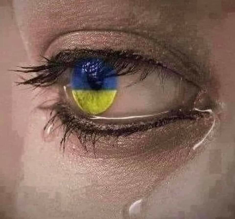 FB_IMG_1645906580510.jpg - Kornel1978