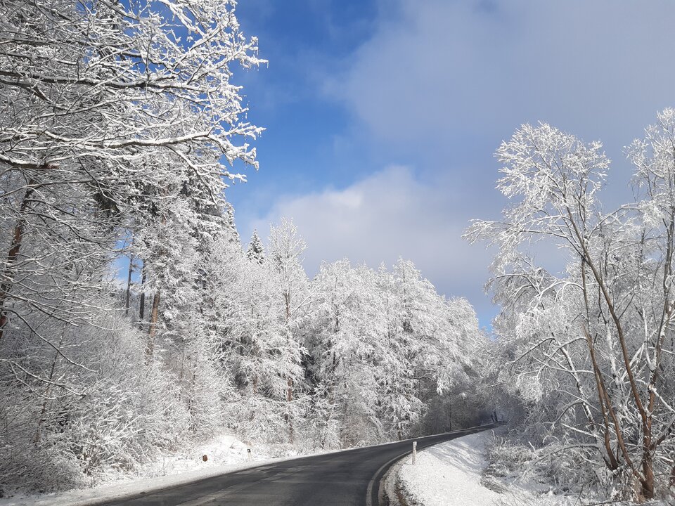 20211127_104117.jpg - torii99