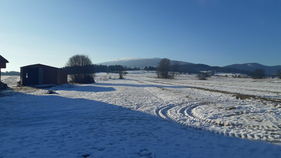 Resized_20210221_153452.jpeg - 1234stas