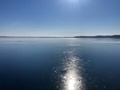 IMG_6457.jpg