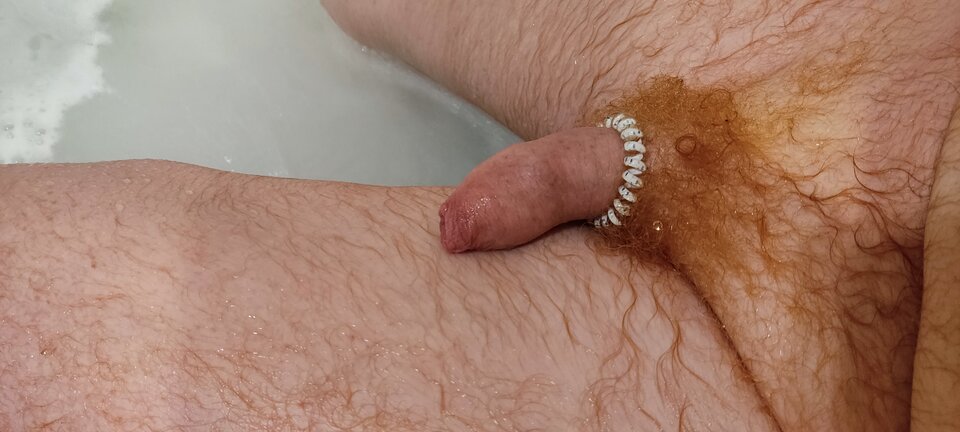 IMG_20220302_170606.jpg - tygrysekl