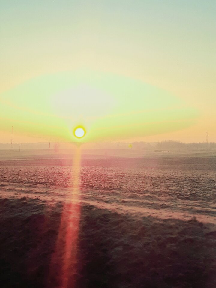 20220302_063736.jpg - dino8