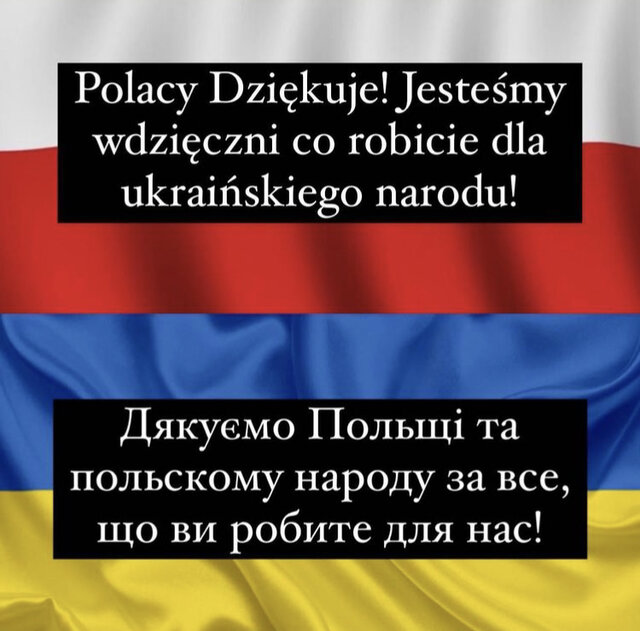 259366D2-3986-4F2D-9FE7-C90470D656F8.jpeg - SharikWay