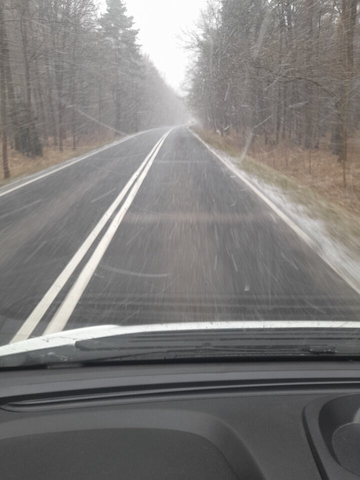 Myślałem że to już koniec  tej parszywej zimy - lokacz123