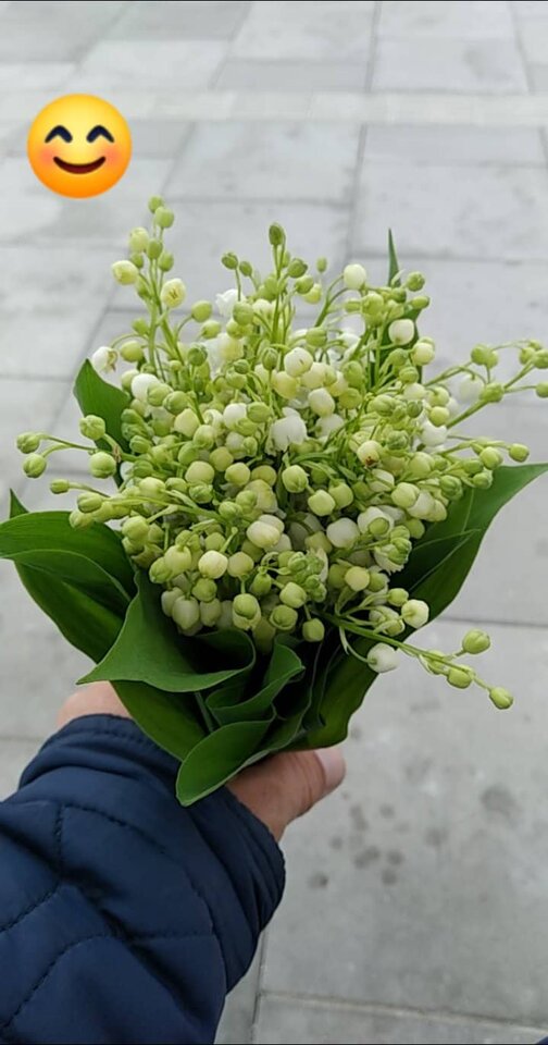 97091734_279306626585248_552724899009921024_n.jpg - Dawid787878