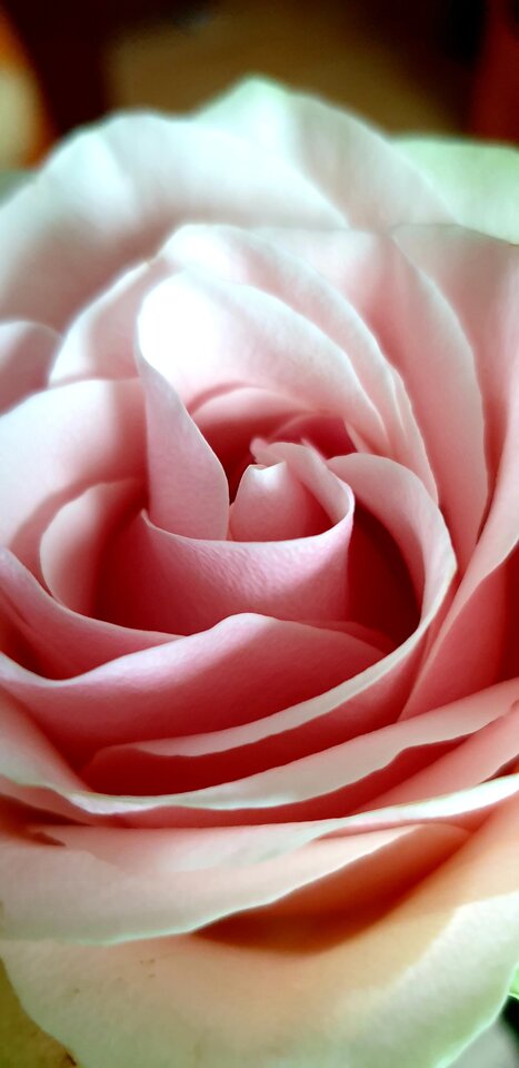 20220303_141714.jpg - Sh_e