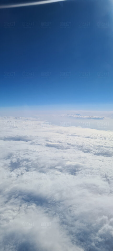 20220219_082208.jpg - Onek71