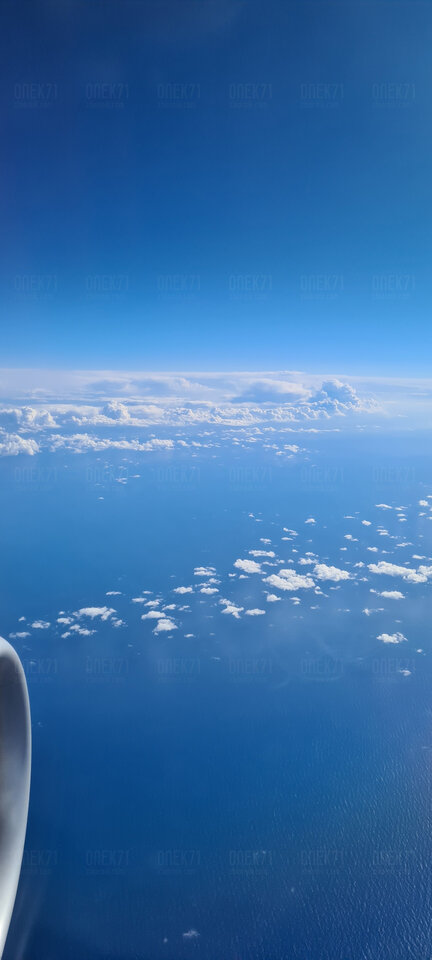 20220219_083134.jpg - Onek71