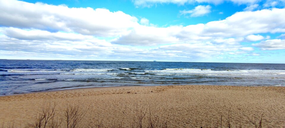 IMG_20220305_121127.jpg - Curtyzana