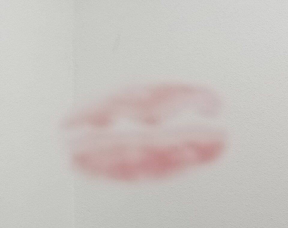 IMG_20220305_204802.jpg - Otolotohi