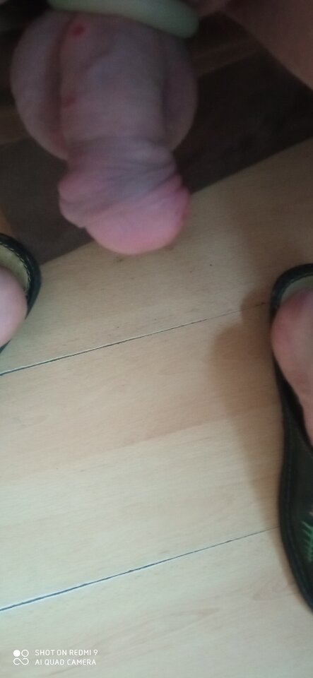 16465485900841095825917139206474.jpg - sylwek240