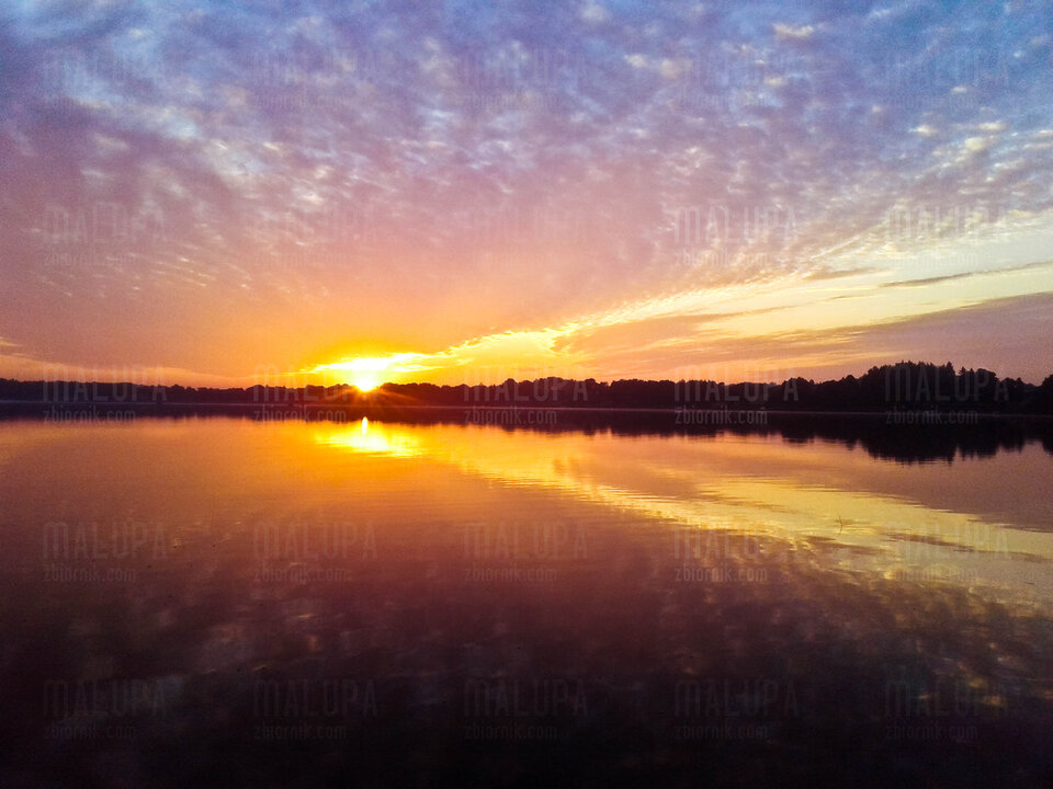 20200922_063645.jpg - malupa