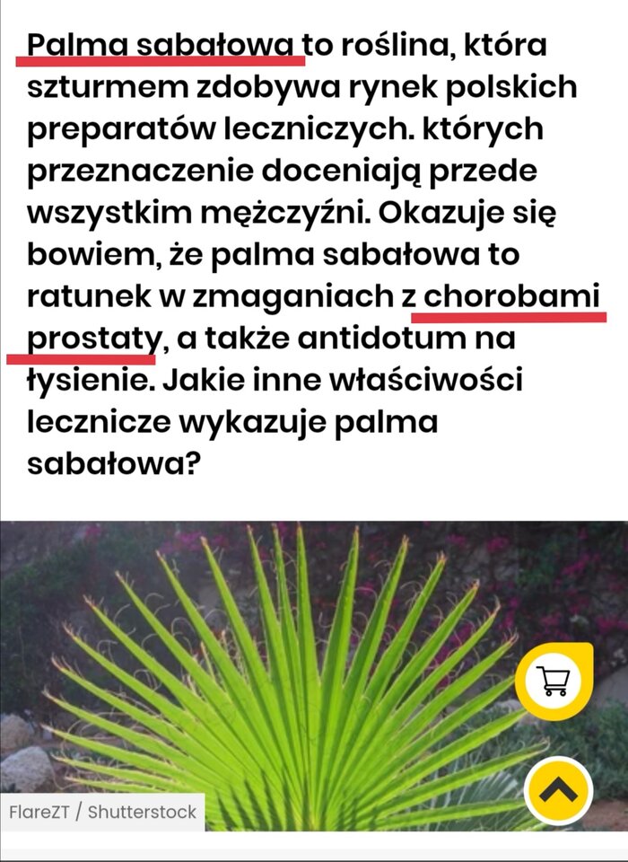 Zioła - 2020ParaBDG
