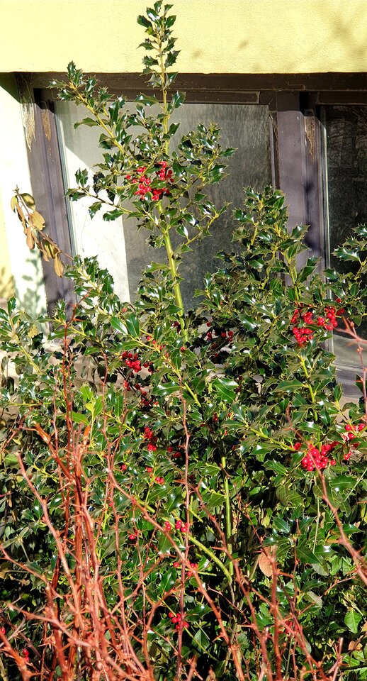 20220305_224419.jpg - Sh_e