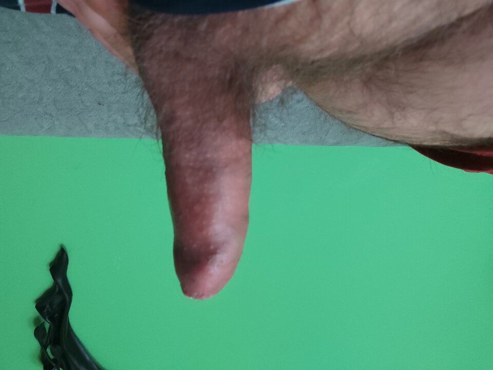 1646641468310886098232092920099.jpg - satyrysta