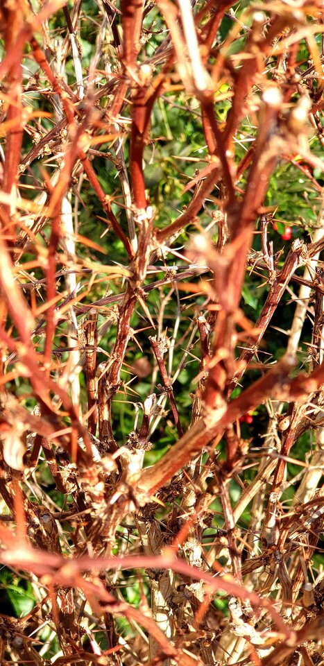 20220302_092950.jpg - Sh_e