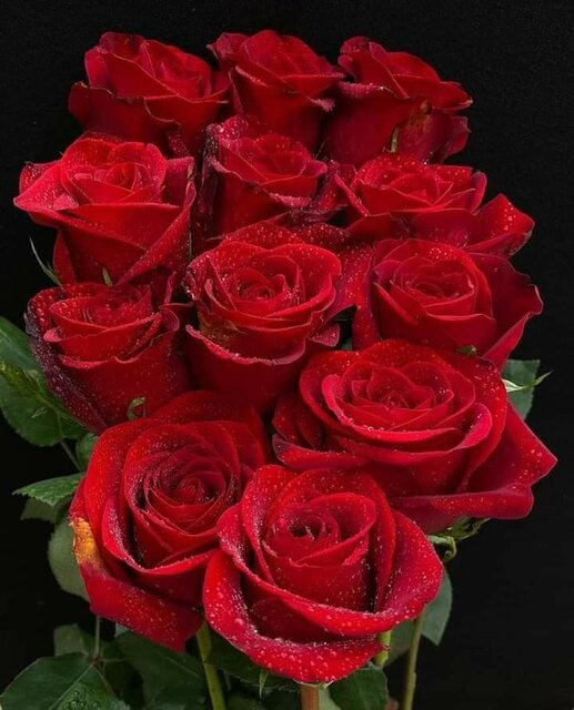 Dla wszystkich kobiet - parka2633parka