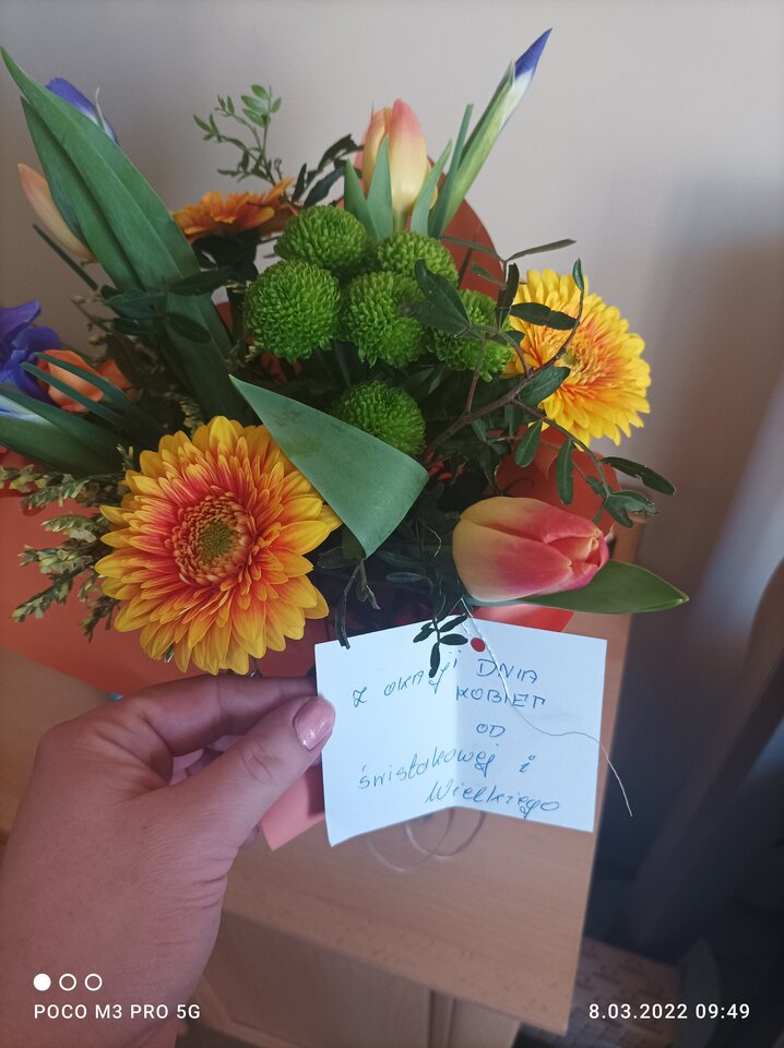 IMG_20220308_094911.jpg - Niunka150990