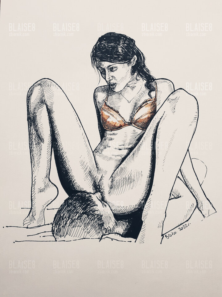 Art. No. 161 - blaise8