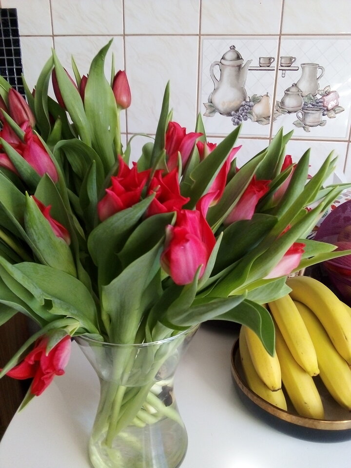 IMG_20220308_125450.jpg - Szkp1973