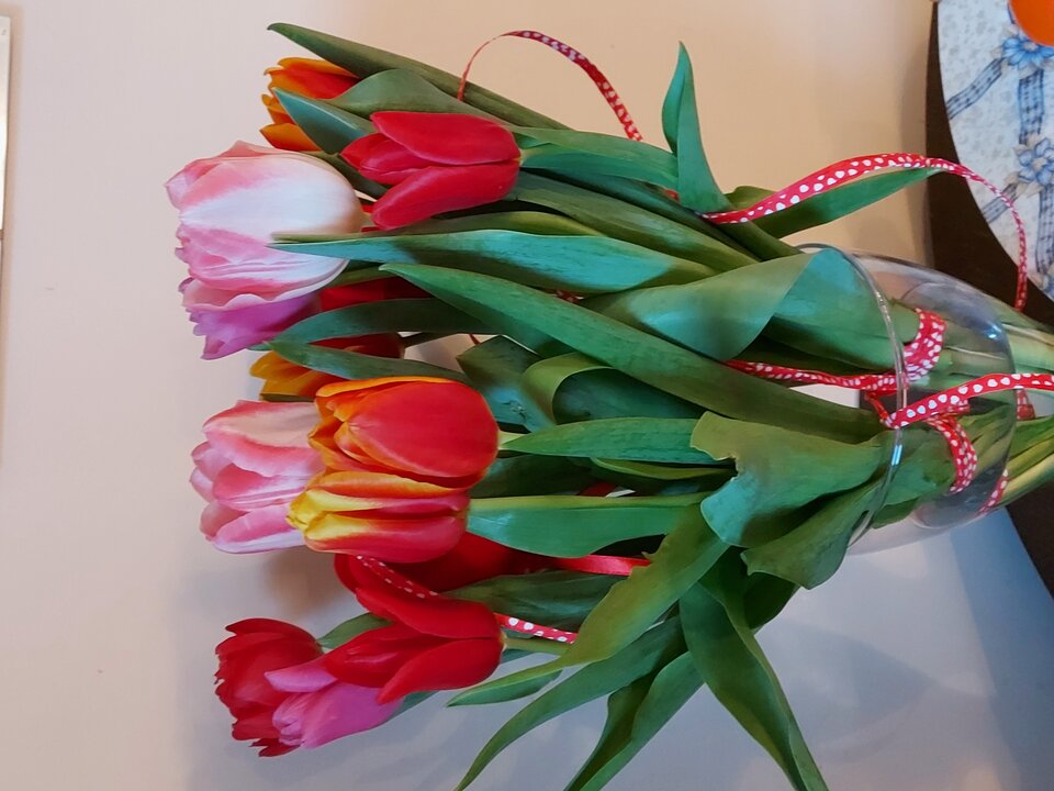 20220214_165135.jpg - A7REPPU