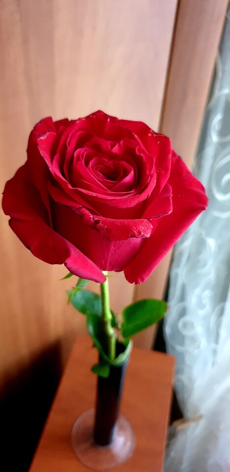 20220309_165702.jpg - Sh_e