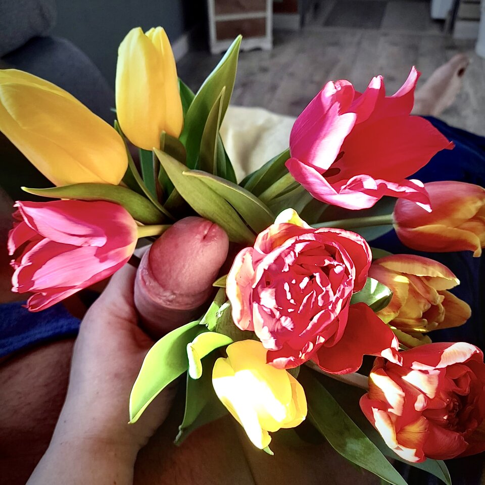 8⚘Marca🌷 bukiet 🌷Tulipanków🌷⚘🌷 - wyjebanexxpoxxcalosci