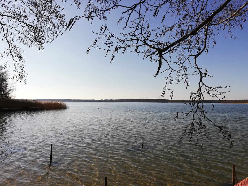 IMG_20220309_144903.jpg - shadik11