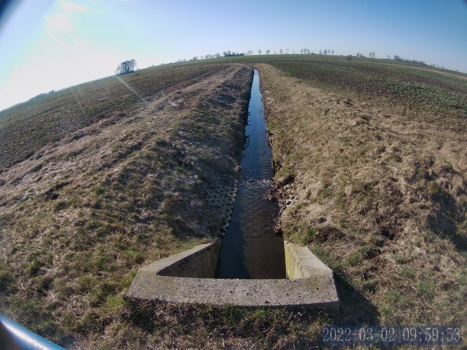 DLAY0387.JPG - bojman8