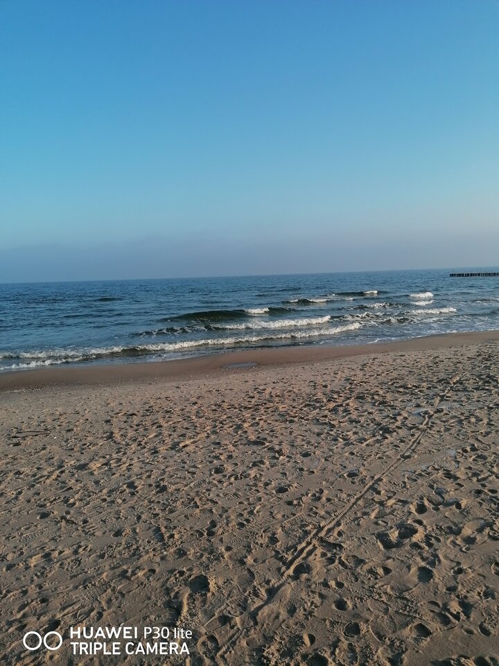 IMG_20220309_075113.jpg - Diabelny1975