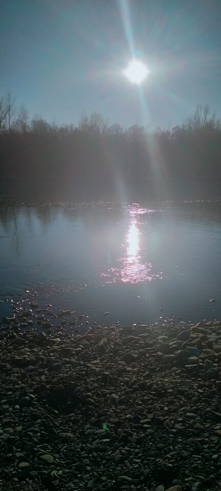 IMG20220311162400.jpg - maniana35