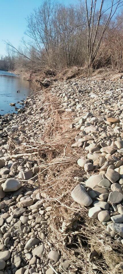 IMG20220311162333.jpg - maniana35