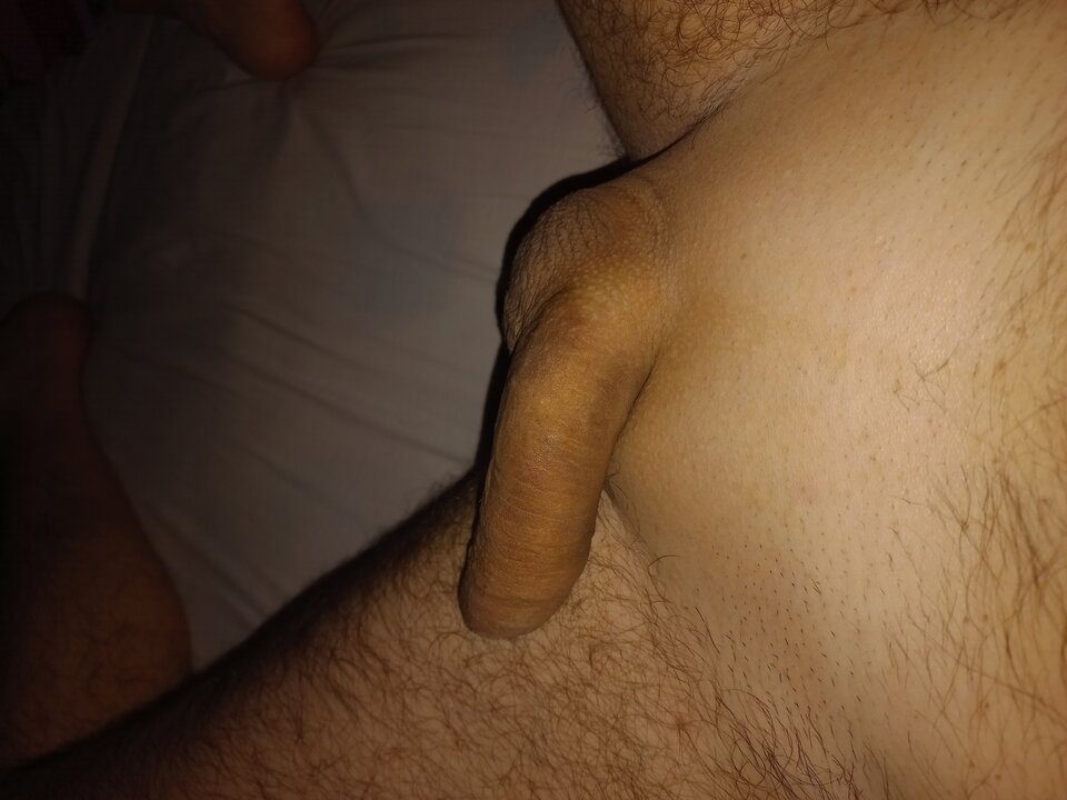 20220312_053857.jpg - adamekq