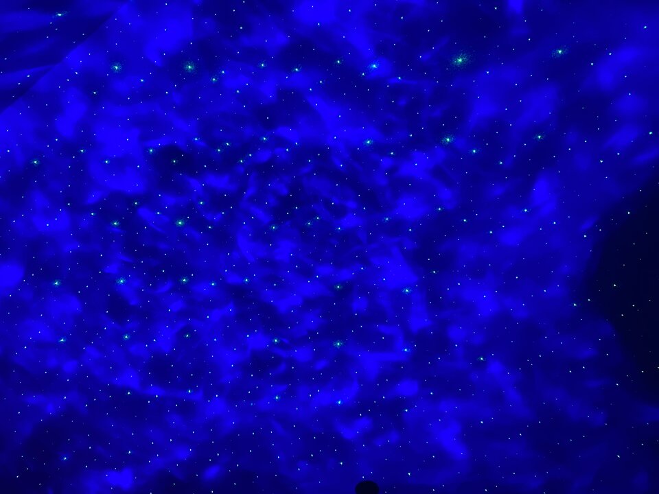 7D929823-5BF6-488F-90E0-8B615D7C5001.jpeg - 18cmWawa