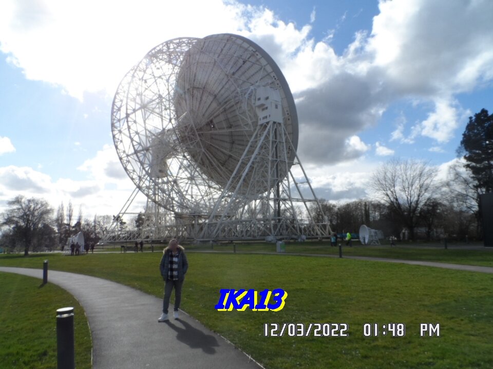 SAM_3879.JPG - ika13