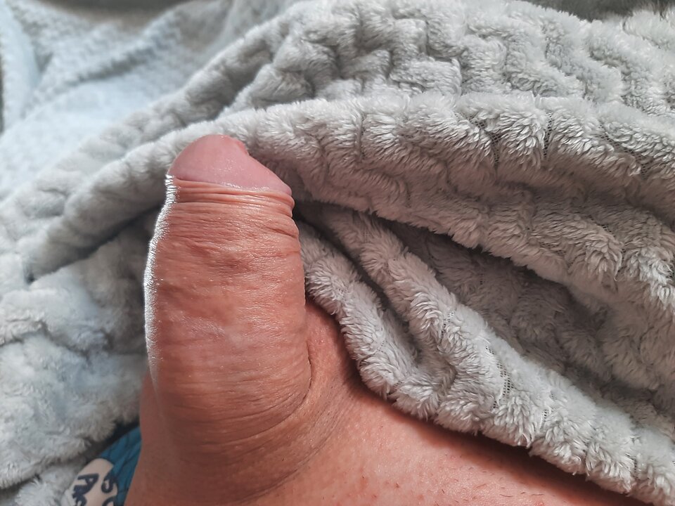 16471642465223631442272494307169.jpg - Glodnisexu1