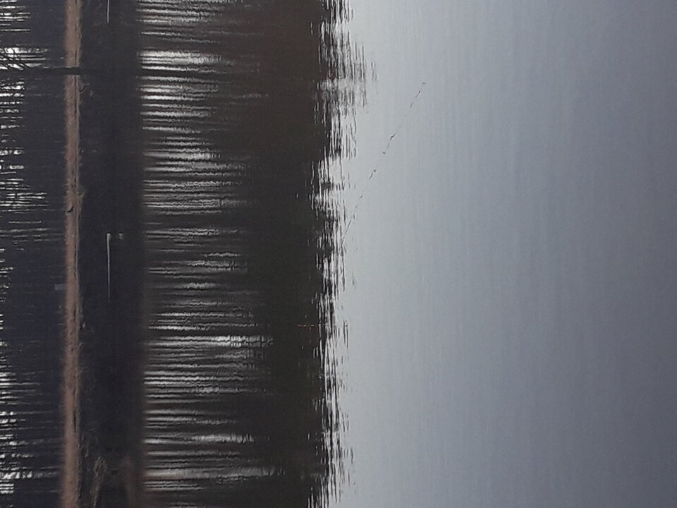 16471833879369127941351669690603.jpg - DD7277