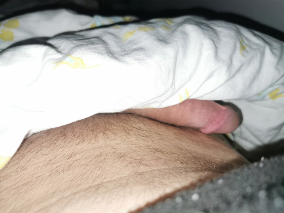 16472092812375491425829469783987.jpg - darciolew